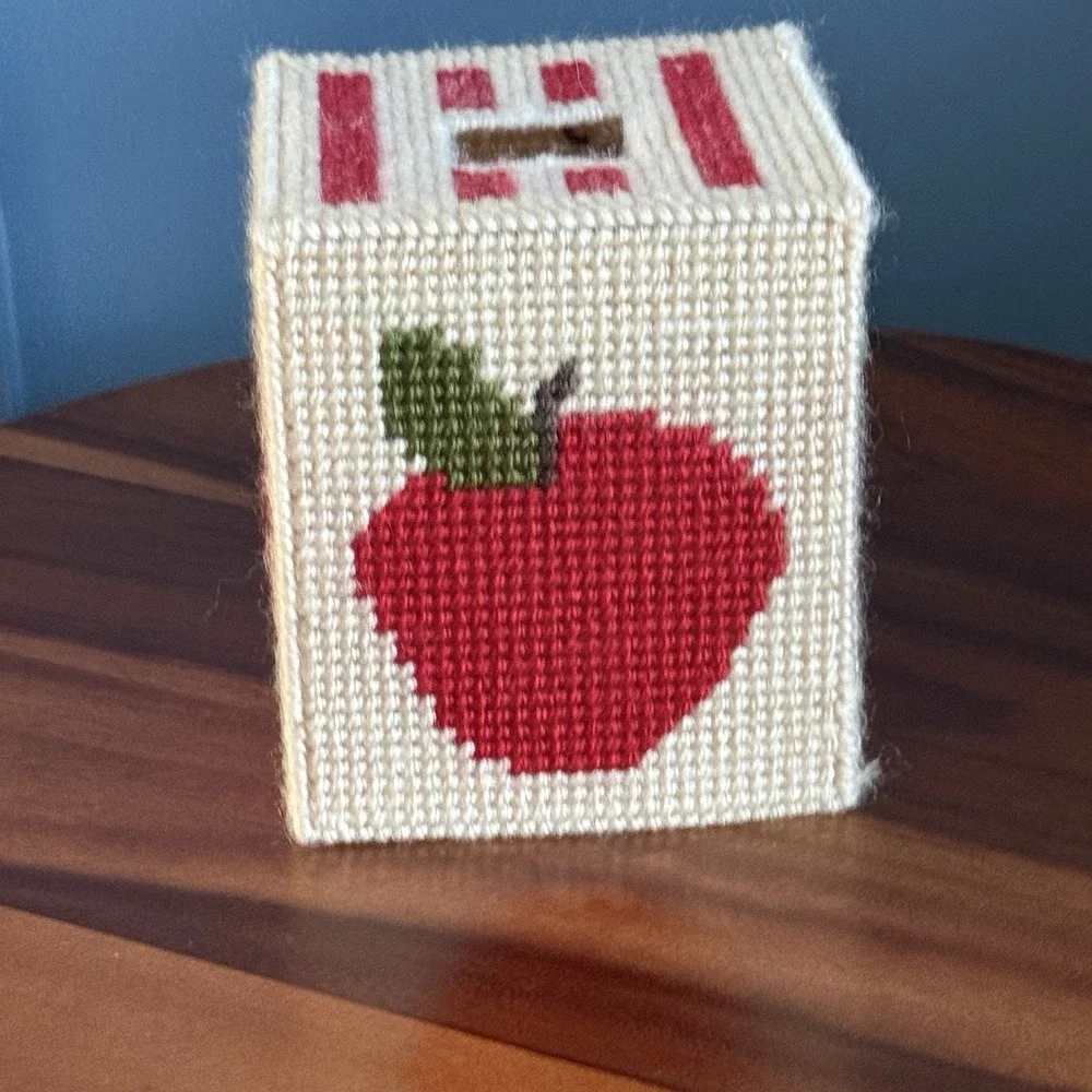 Handmade Vintage Needlepoint Plastic Canvas Tissue Box Cover - Apple Teacher